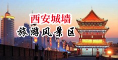 羞羞答答邪恶网中国陕西-西安城墙旅游风景区